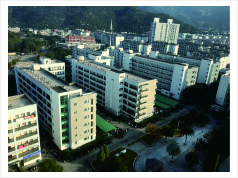 温大溯初学区楼栋文化环境